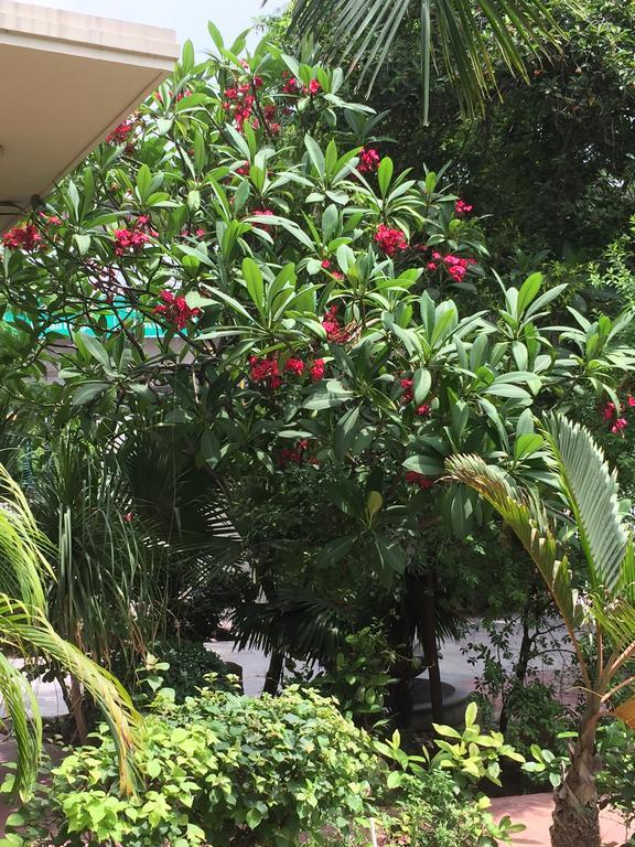 Barwara Kothi Hotell Jaipur Eksteriør bilde